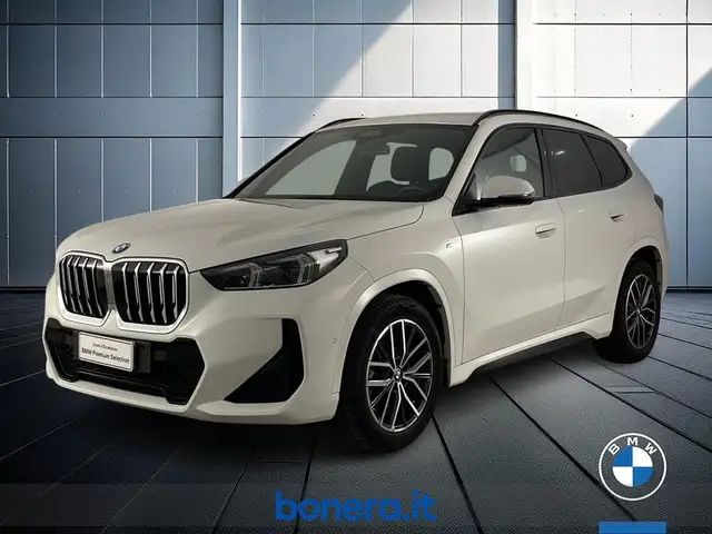 BMW X1 main image