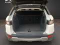 Land Rover Range Rover Evoque Range Rover Evoque 5p 2.2 td4 180cv RDynamic Bianco - thumbnail 15