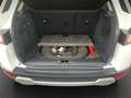 Land Rover Range Rover Evoque Range Rover Evoque 5p 2.2 td4 180cv RDynamic Bianco - thumbnail 16