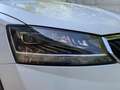 Skoda Fabia Combi 1.0 TSI DSG CLEVER LED+NAVI+ACC+PANO Weiß - thumbnail 17