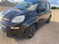 Fiat Panda Panda III 2021 1.0 firefly hybrid City Life s Noir - thumbnail 2