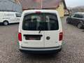Volkswagen Caddy Kasten ERSTBESITZ, ALLE SERVICE BEI VW USW. Weiß - thumbnail 8