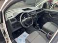 Volkswagen Caddy Kasten ERSTBESITZ, ALLE SERVICE BEI VW USW. Weiß - thumbnail 10