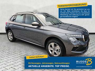 1.5 TSI DSG Selection / PDC / Kessy / Temp