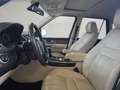 Land Rover Range Rover Sport 3.0TDV6 SE Aut. Negro - thumbnail 8