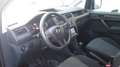 Volkswagen Caddy 2.0 TDI 102 CV Furgone BlueMotion * IVA ESCLUSA * Gris - thumbnail 8