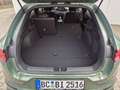 Kia ProCeed / pro_cee'd ProCeed 1.5 T-GDI DCT7 GT-Line Grün - thumbnail 15