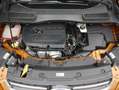 Ford Kuga Individual Bronze - thumbnail 29