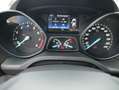 Ford Kuga Individual Bronze - thumbnail 13