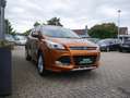 Ford Kuga Individual Bronze - thumbnail 4