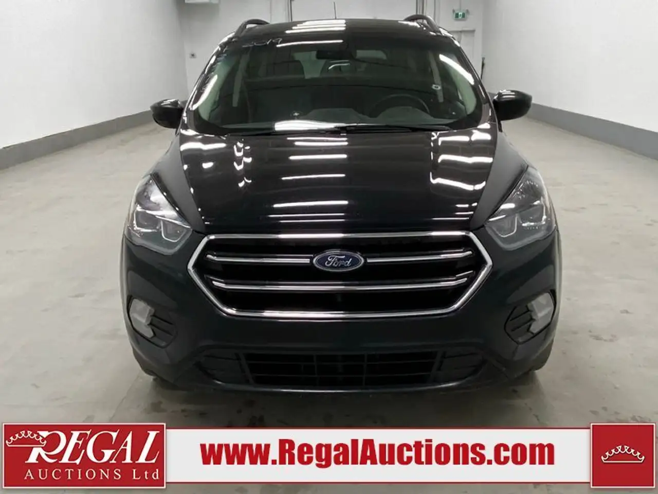 Ford Escape снимка Ford Escape