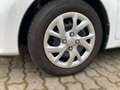 Hyundai i10 1.0 Trend Sitzheizung Bianco - thumbnail 9