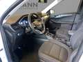 Ford Kuga 1.5 EcoBoost Titanium *LED*NAVI*Pano*LM*PDC Blanc - thumbnail 7