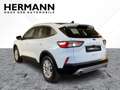 Ford Kuga 1.5 EcoBoost Titanium *LED*NAVI*Pano*LM*PDC Blanc - thumbnail 3