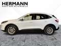 Ford Kuga 1.5 EcoBoost Titanium *LED*NAVI*Pano*LM*PDC Blanc - thumbnail 2