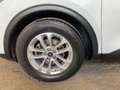 Ford Kuga 1.5 EcoBoost Titanium *LED*NAVI*Pano*LM*PDC Blanc - thumbnail 12