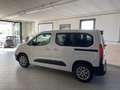 Fiat Doblo Passo Corto 1.5 d 100cv - KM ZERO - thumbnail 15