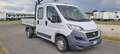 Fiat Ducato 35 MH1 2.0 MJT16V Dop cabina a sponde ribaltabili Blanc - thumbnail 1