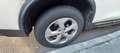 Nissan X-Trail X-Trail III 2.0 dci Tekna 4wd xtronic Bianco - thumbnail 13