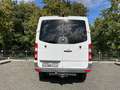Mercedes-Benz Sprinter 319 CDi L2H1 Allrad 4x4 | V6 3.0 CDI | Velgen | 2. Wit - thumbnail 17