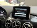 Mercedes-Benz B 180 CDI Executive Bianco - thumbnail 14