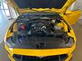 Ford Mustang Fastback 5.0 Ti-VCT GT Amarillo - thumbnail 12