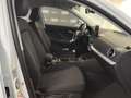 Audi Q2 30 TFSI Business Advanced Bianco - thumbnail 14