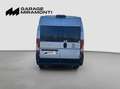 Fiat Ducato AUTOVETTURA CON 9 POSTI Grau - thumbnail 5