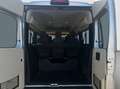 Fiat Ducato AUTOVETTURA CON 9 POSTI Grau - thumbnail 15