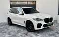 BMW X5 xDrive30d AHK PANO Weiß - thumbnail 3
