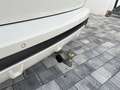 BMW X5 xDrive30d AHK PANO Weiß - thumbnail 19
