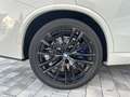 BMW X5 xDrive30d AHK PANO Weiß - thumbnail 7