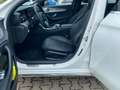 Mercedes-Benz E 300 deT9GA/ AVANTGARDE/PAN-DACH/18"/MULTI-BEAM/ Weiß - thumbnail 9