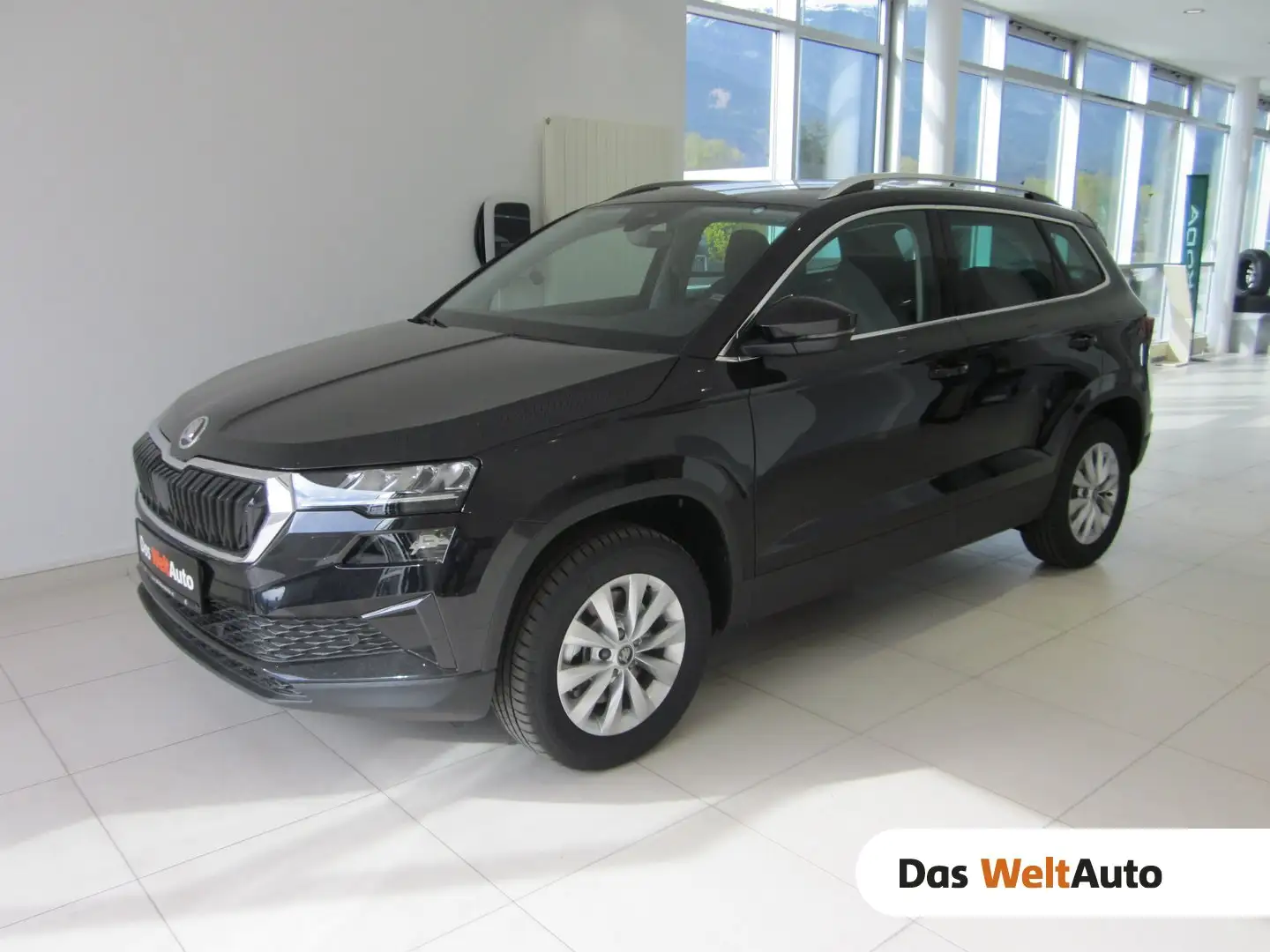 Skoda Karoq 4x4 Selection TDI DSG Schwarz - 1