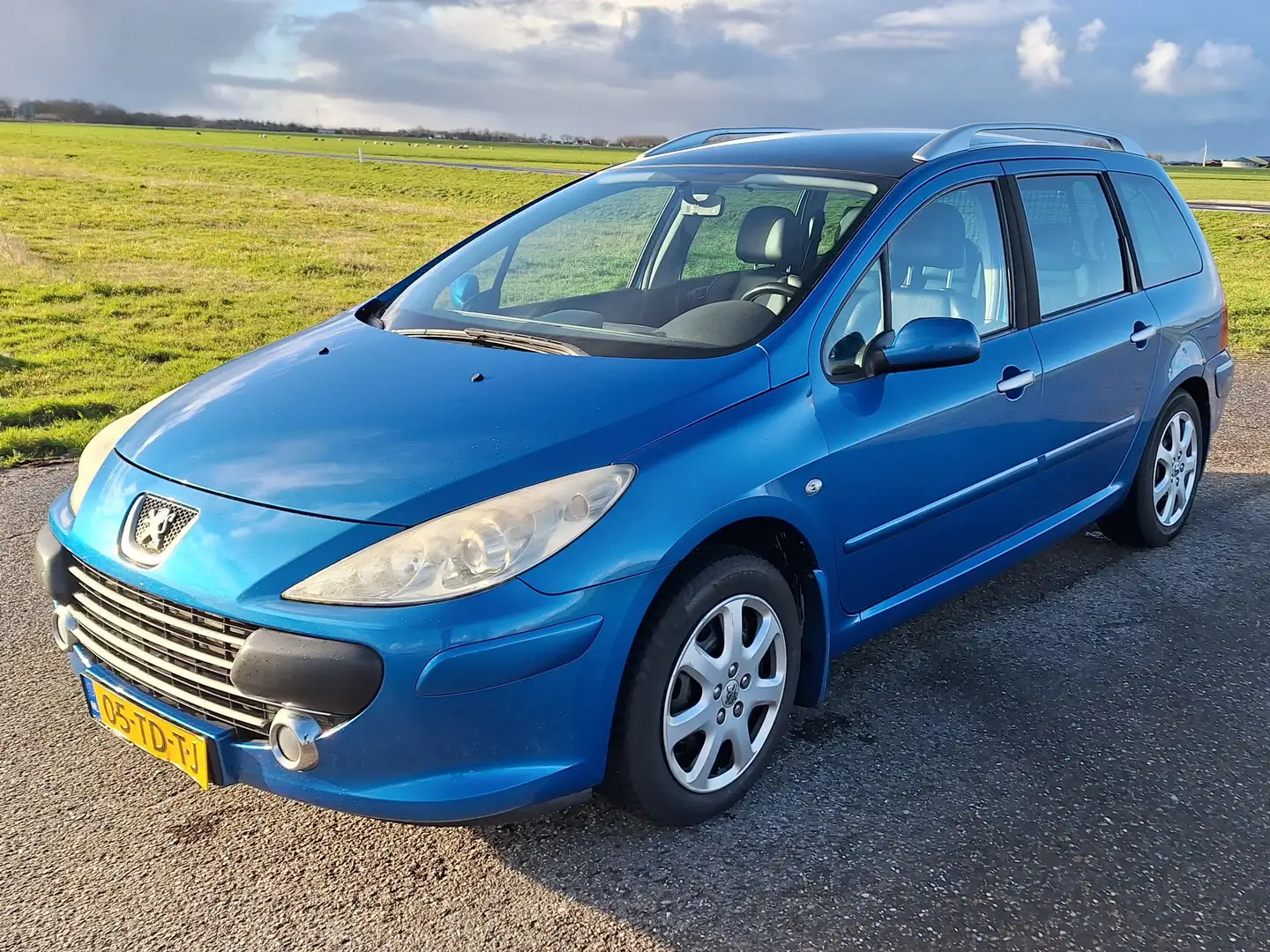 Peugeot 307 307 2.0-16V XSi Mavi - 1
