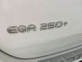 Mercedes-Benz EQA 250+ + progressive Blanc - thumbnail 12