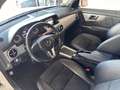 Mercedes-Benz GLK 220 GLK - X204 cdi bt Premium 4matic auto Bianco - thumbnail 7
