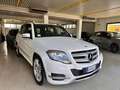Mercedes-Benz GLK 220 GLK - X204 cdi bt Premium 4matic auto Bianco - thumbnail 1