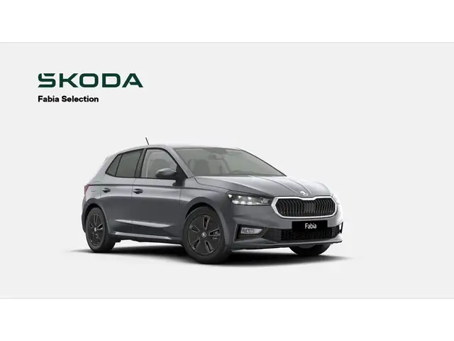 Skoda Fabia Selection