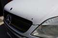 Mercedes-Benz Sprinter 313 CDI FURGONE H3 PASSO MEDIO Wit - thumbnail 24
