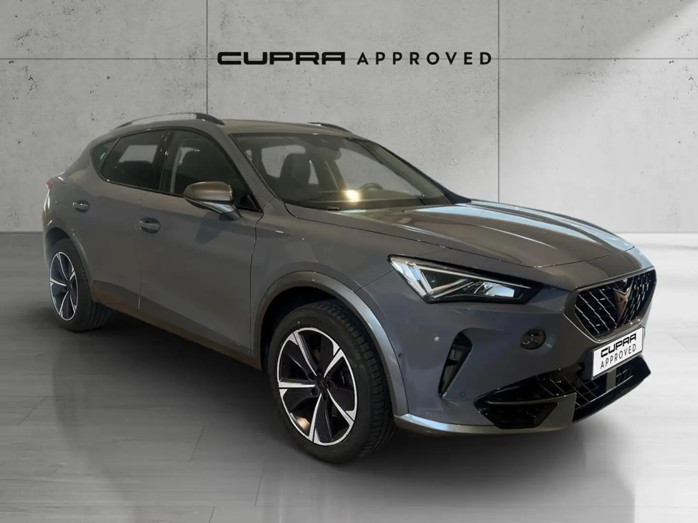 CUPRA Formentor 1.5 TSI 150 Gris - 1