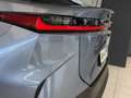 Lexus RZ 350e Blau - thumbnail 25