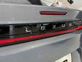 Lexus RZ 350e Blau - thumbnail 24