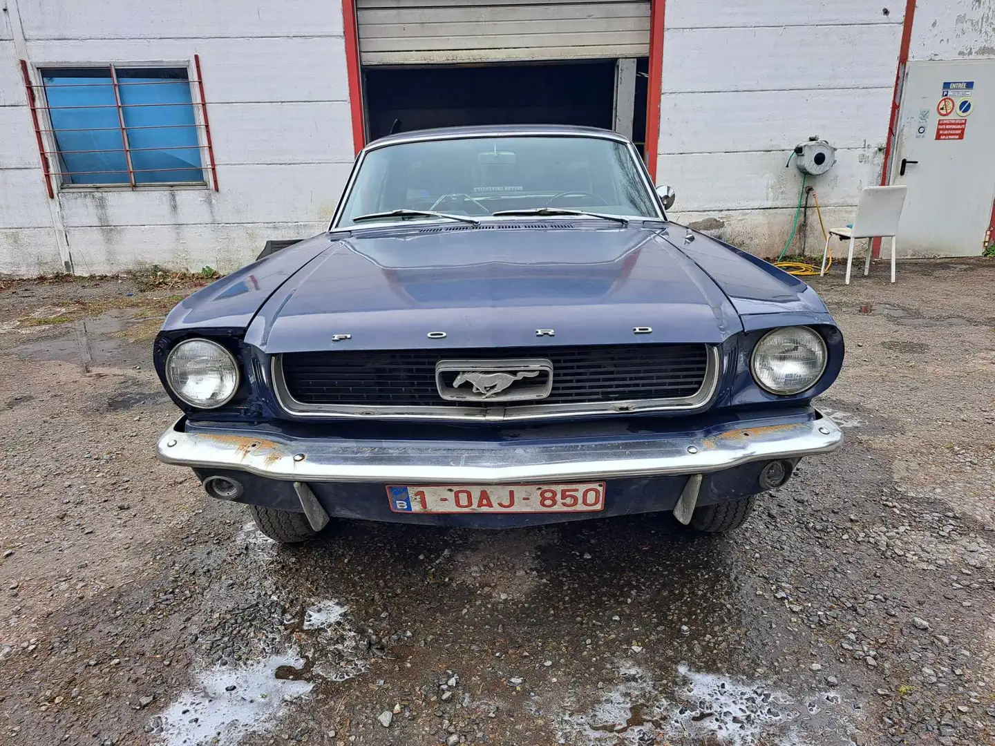 Ford Mustang Bleu - 2