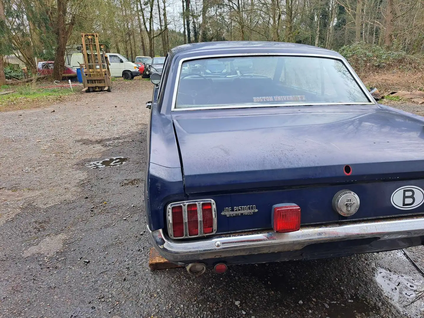 Ford Mustang Bleu - 1