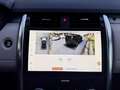Land Rover Discovery 3.0d i6 mhev R-Dynamic SE awd 249cv 7p auto Grigio - thumbnail 12
