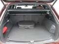Volkswagen Touareg Atmosphere 3.0 eHybrid 4M DSG/ Pano, AHK Rojo - thumbnail 8