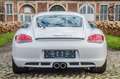 Porsche Cayman 2.9i PDK 987*HISTORIEK*AIRCO*CRUISECONTROL*EURO 5 Blanc - thumbnail 8