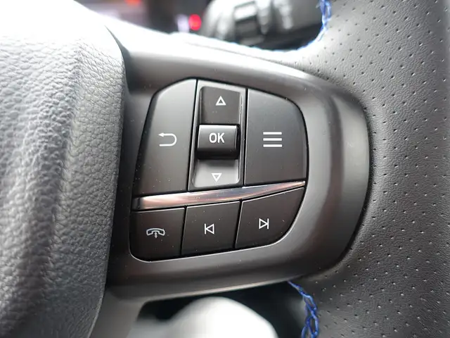 Ford Ranger Ranger Doppelkabine XLT e-4WD 3,0 EcoBlue Aut. Ansicht 23