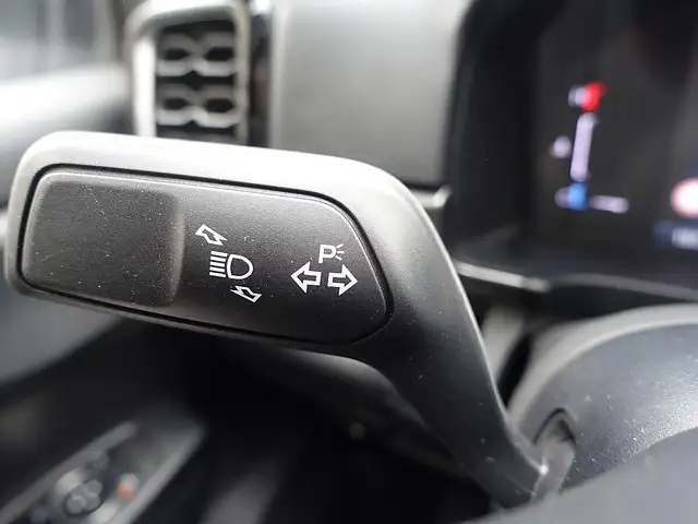 Ford Ranger Ranger Doppelkabine XLT e-4WD 3,0 EcoBlue Aut. Ansicht 22